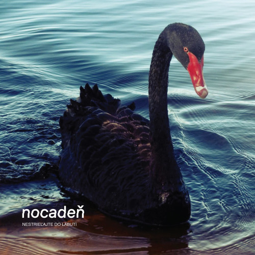 LP / Nocade� / Nestrielajte do labut� / Vinyl