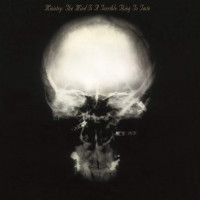 LPMinistry / Mind Is A Terrible Thing To Taste / Vinyl