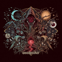 LPWeedpecker / V / Magenta / Vinyl