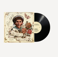 LPRafferty Gerry / Can I Have My Money Back / Vinyl