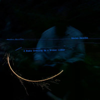 LPHavelka V�clav / Snake Crawling Up a Broken Ladder / Vinyl