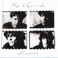 CDCHURCH / Starfish