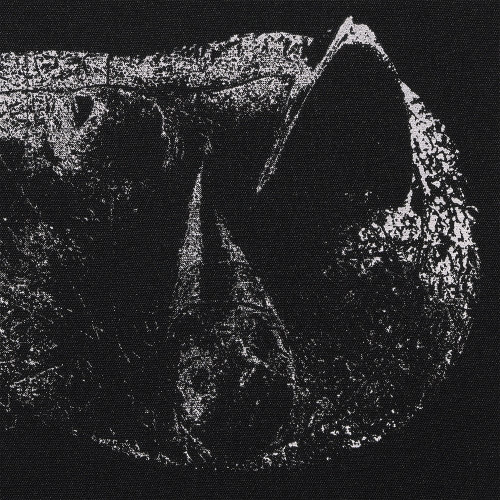 LP / Demon Head / Viscera / Vinyl / limited