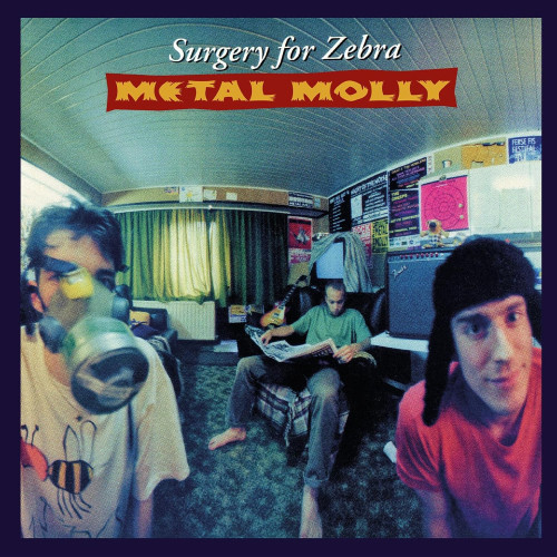 LP / Metal Molly / Surgery For Zebra / Turquoise / Vinyl