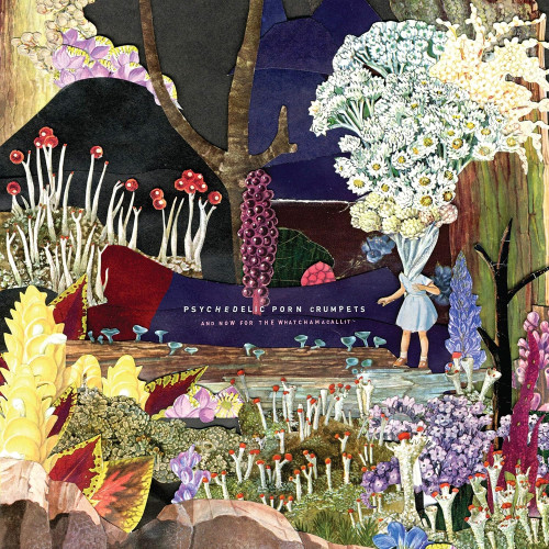 LP / Psychedelic Porn Crumpets / And Now For The What. / Vinyl