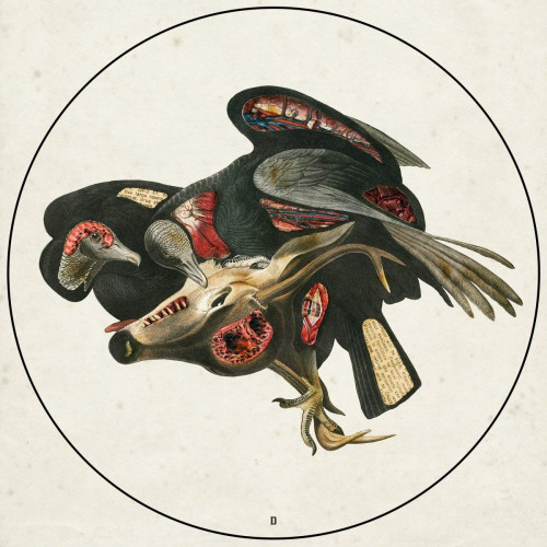 2LP / Clutch / Book Of Bad Decision / Vinyl / Picture / 2LP