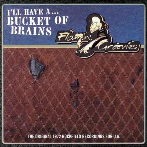 LP / Flamin' Groovies / Bucket Of Brains / Vinyl / RSD