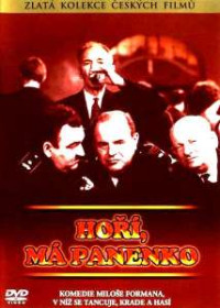 DVDFILM / Ho��,m� panenko