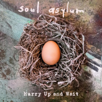 3LPSoul Asylum / Hurry Up And Wait / Vinyl / 2LP+7"