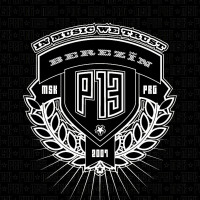 CDBerezin / 13