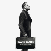 CDJames Gavin / Only Ticket Home