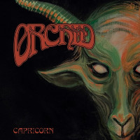 2LPOrchid / Capricorn / Green,Orange,White / Vinyl / 2LP