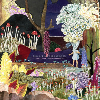CDPsychedelic Porn Crumpets / And Now For The Whatchamacallit