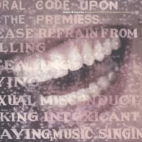 2LPMorissette Alanis / Supposed Former Infatuation Junkie / Vinyl.
