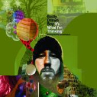 2CDBadly Drawn Boy / It's What I'm Thinking / Limited / 2CD