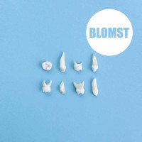 CDBlomst / Blomst
