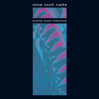 LPNine Inch Nails / Pretty Hate Machine / Vinyl