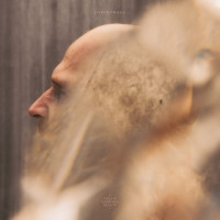 2LPPsychonaut / Violate Consensus Reality / Vinyl / 2LP
