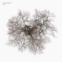 LPMetcalfe John / Tree / Vinyl