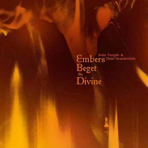 2LP / Solar Temple & Dead Neandet... / Embers Beget the... / Vinyl / 2LP