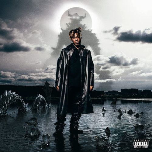 2LP / Juice Wrld / Fighting Demons / Vinyl / 2LP