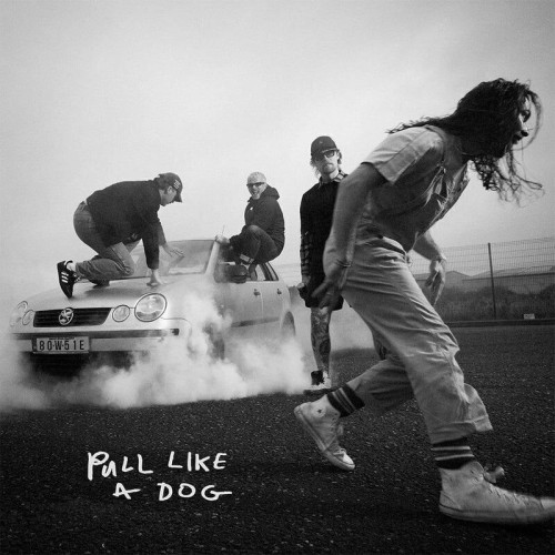 CD / Scratch / Pull Like A Dog