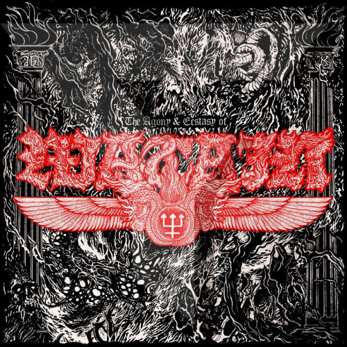 LP / Watain / Agony & Ecstasy Of Watain / Coloured / Vinyl