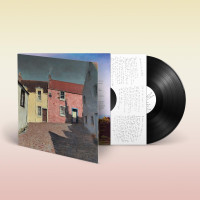 LPRyder-Jones Bill / Iechyd Da / Vinyl