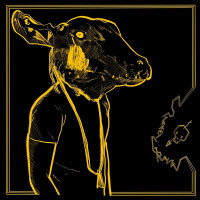2LPShakey Graves / Roll the Bones X / Vinyl / 2LP