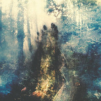 CDSylvaine / Wistful