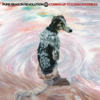 CDPure Reason Revolution / Coming Up To Consciousness