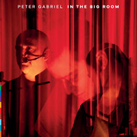 2CDGabriel Peter / In The Big Room / 2CD