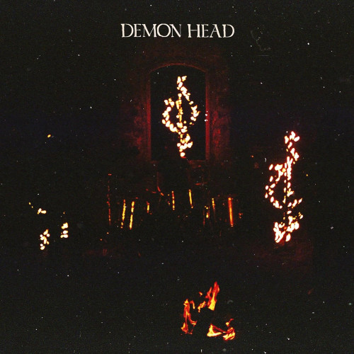 LP / Demon Head / Through Holes Shine The Stars / Vinyl