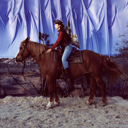 CD / Holy Motors / Horse / Digipack