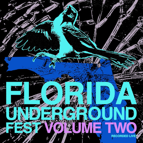 LP / Various / Florida Underground Fest Volume Two / Vinyl