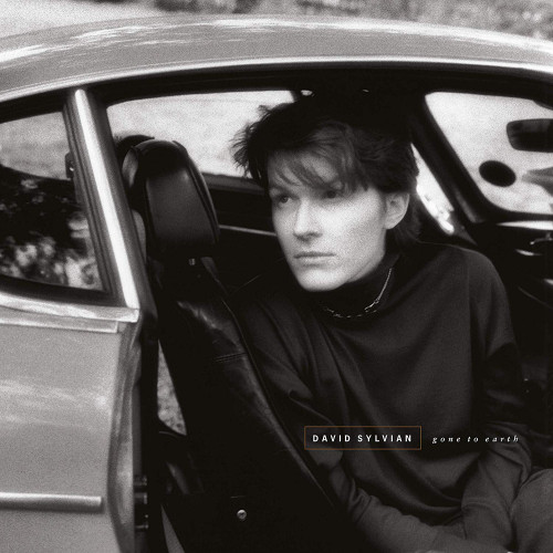 2LP / Sylvian David / Gone To Earth / Vinyl / 2LP