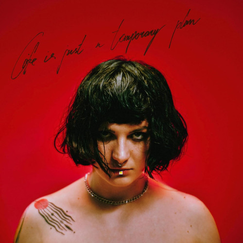 CD / Abbie Falls / Life Is Just a Temporary Plan