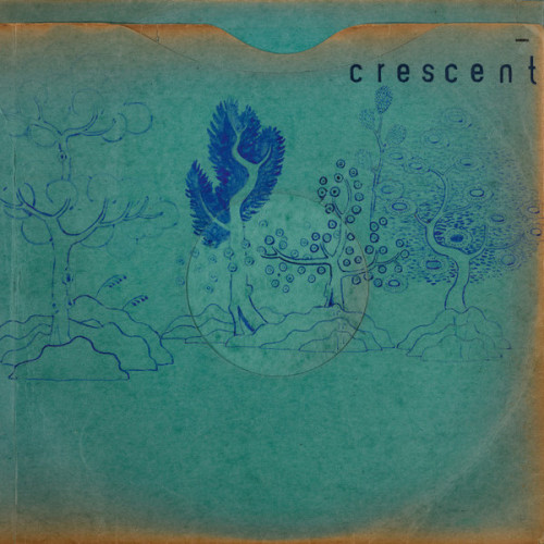 LP / Crescent / Resin Pockets / Vinyl