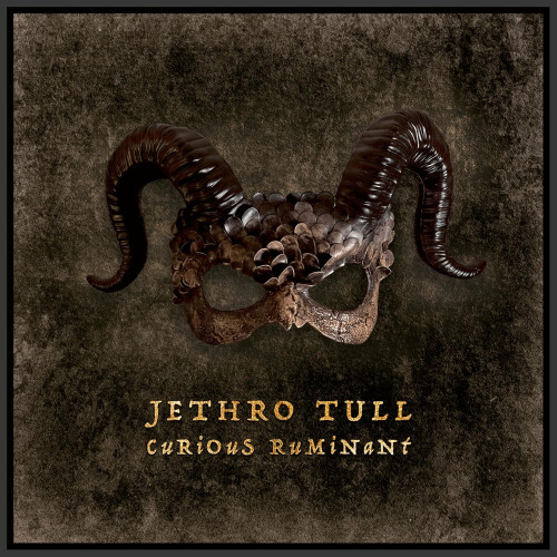 LP/CD / Jethro Tull / Curious Ruminant / Artbook / Vinyl / 2LP+2CD+Blu-Ray