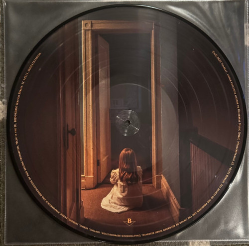 LP / Volbeat / God Of Angels Trust / Picture / Vinyl