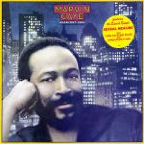 LP / Gaye Marvin / Midnight Love / Vinyl