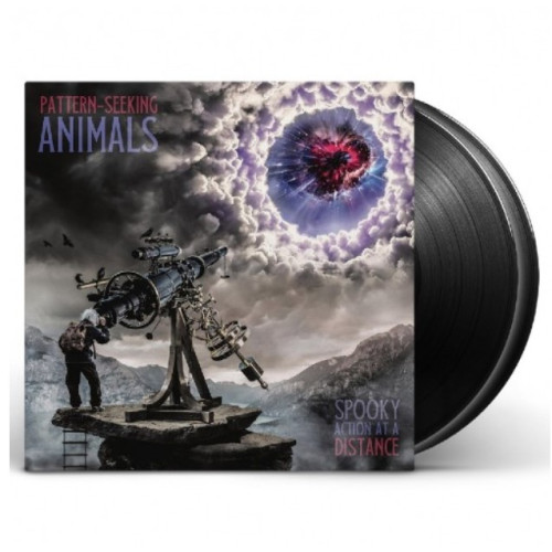 2LP / Pattern-Seeking Animals / Spooky Action At Distance / Vinyl / 2LP