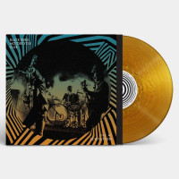 LPBlack Rebel Motorcycle Club / Live At Levitation / Gold / Vinyl