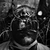 CDLarcenia Roe / Extraction