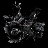 CDSpotlights / Love & Decay / Digisleeve