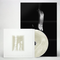 CDFat White Family / Forgiveness is Yours