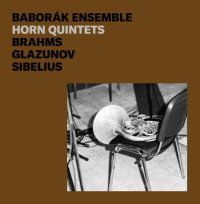 CDBabor�k Ensemble / Brahms,Glazunov,Sibelius / Horn Quintet