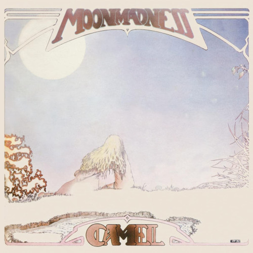 LP / Camel / Moonmadness. / Vinyl