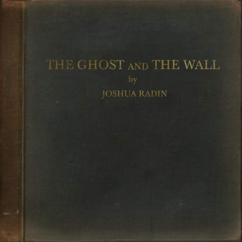 LP / Radin Joshua / Ghost And The Wall / Vinyl