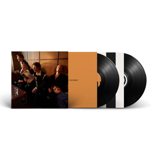 2LP / Giant Rooks / How Have You Been? / Vinyl / 2LP